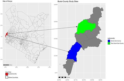 Determinants of climate change adaptation strategies and intensity of use; micro level evidence from crop farmers in Kenya